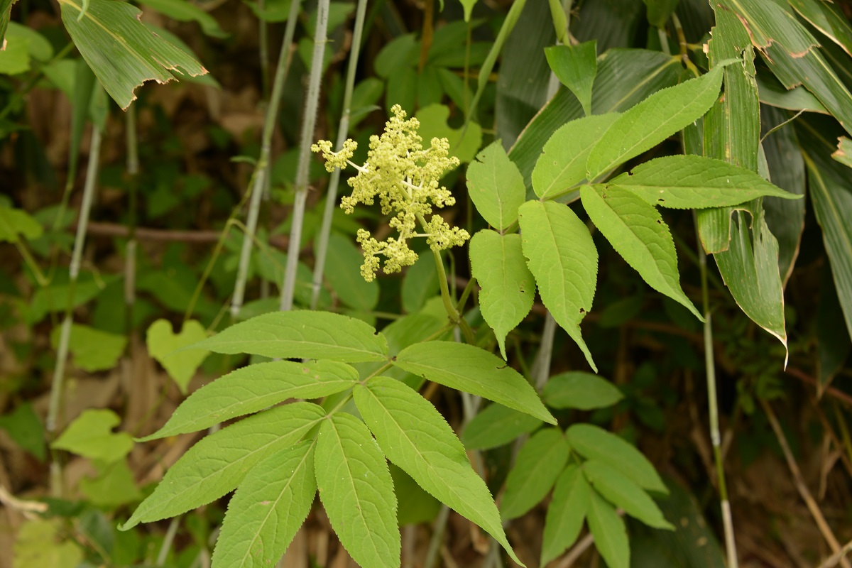 f0268294_20592607.jpg