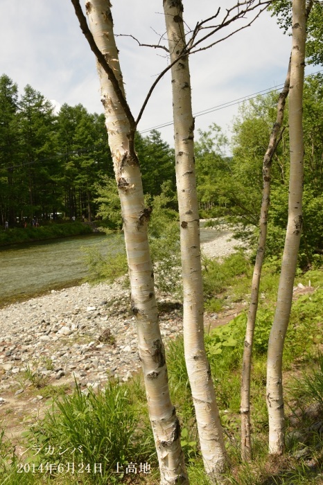 f0268294_21004095.jpg