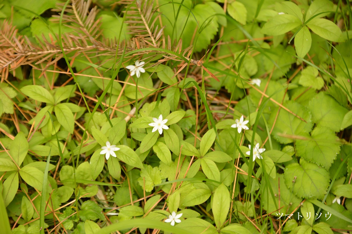 f0268294_21084117.jpg