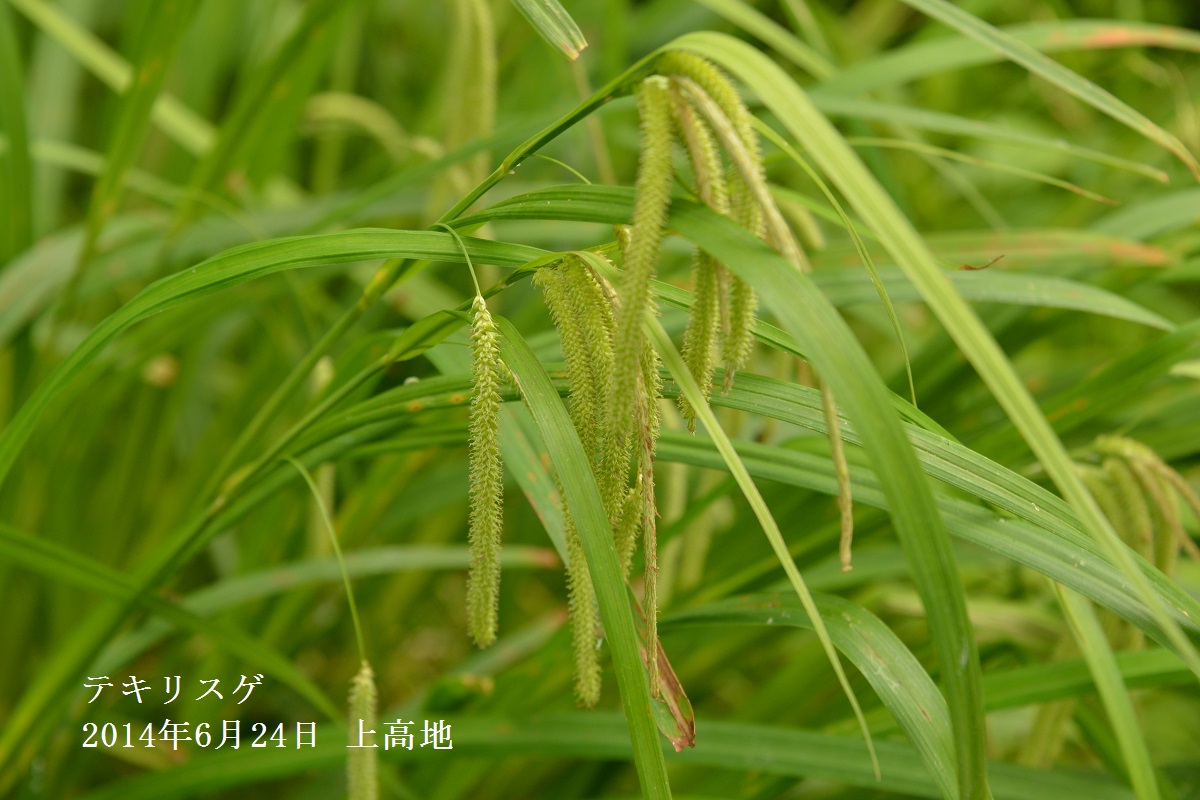 f0268294_21091580.jpg