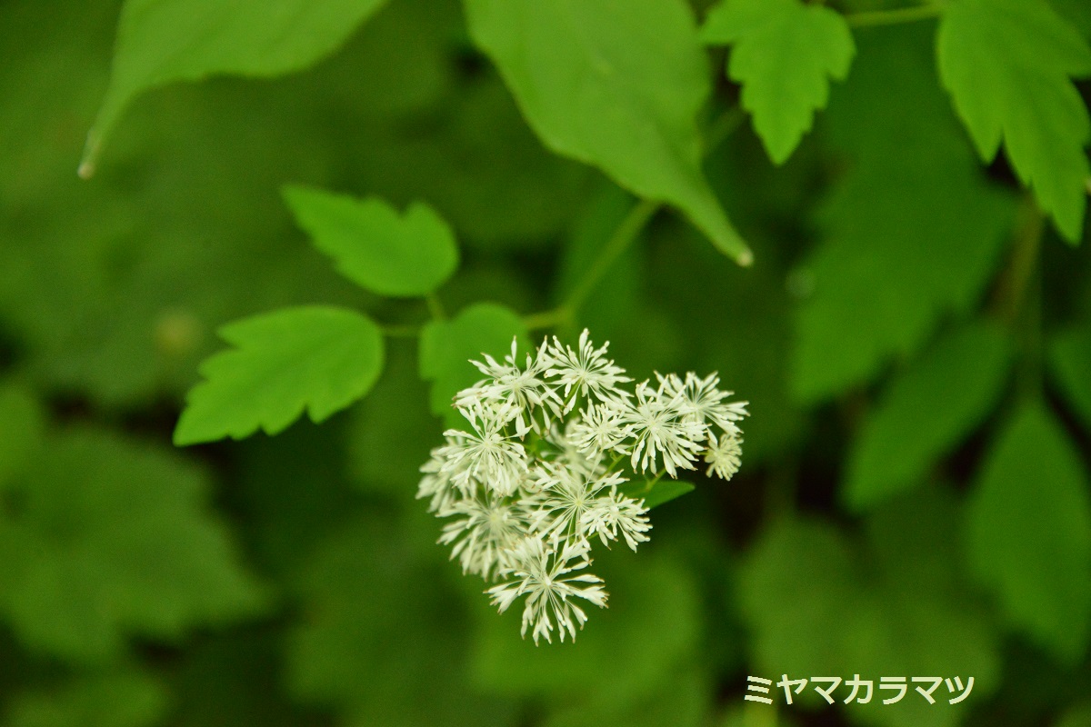 f0268294_21144069.jpg