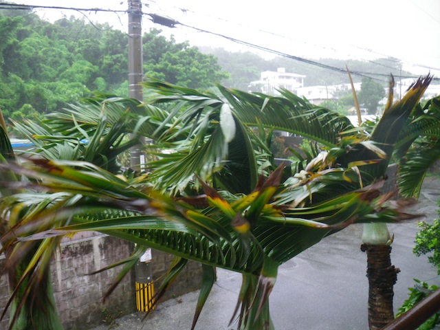 c0193396_12265251.jpg