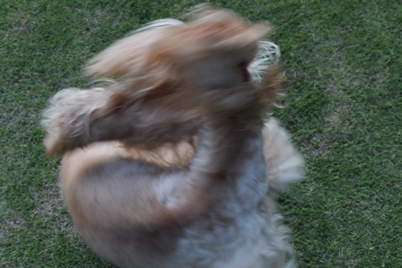 c0128303_22305869.jpg
