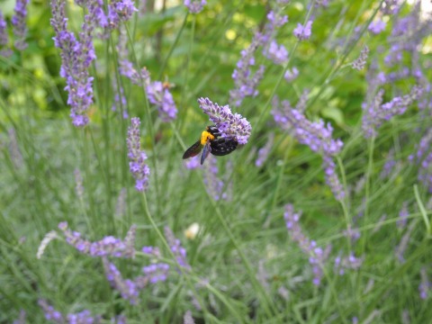 c0117007_19561474.jpg