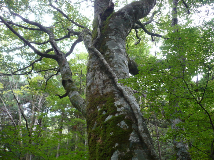 f0182513_23193979.jpg
