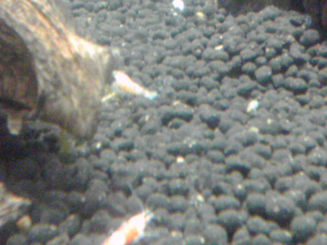 a0291521_17145898.jpg