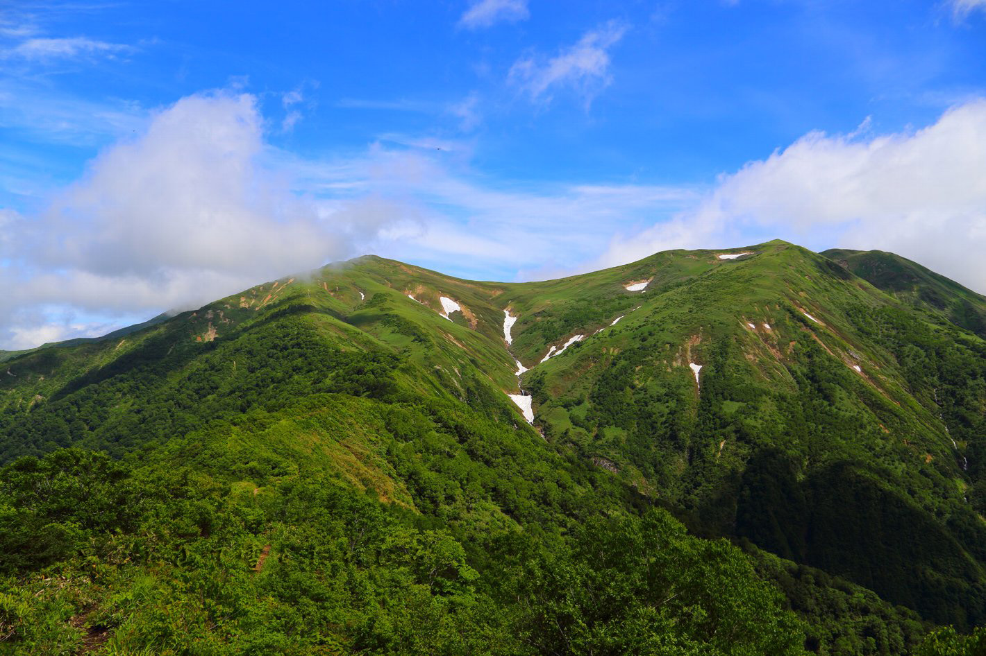 b0062024_8262164.jpg