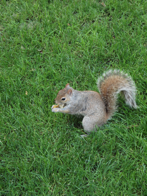 c0157625_01432764.jpg