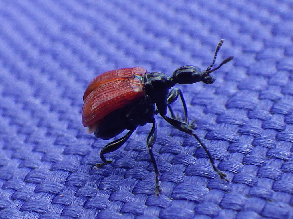 f0118332_20365737.jpg