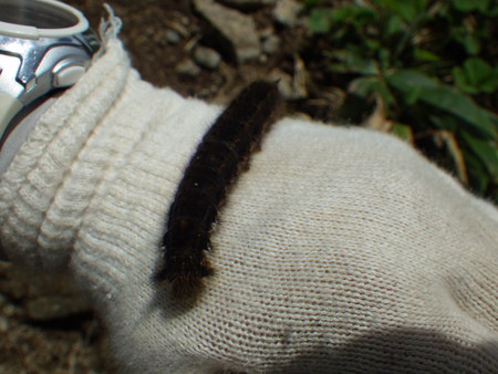 f0118332_2041209.jpg