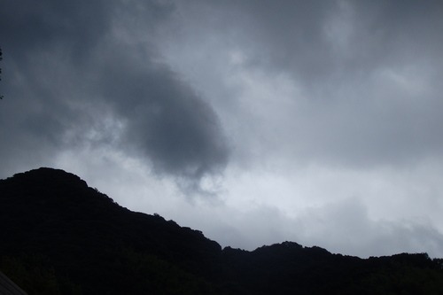 a0054240_2111339.jpg