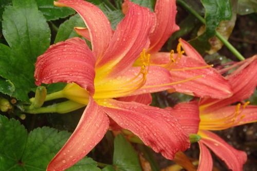 a0054240_215650.jpg