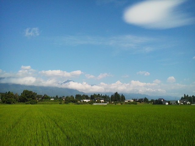 a0272241_1623102.jpg
