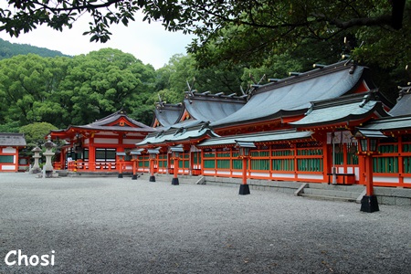 c0004750_1433588.jpg
