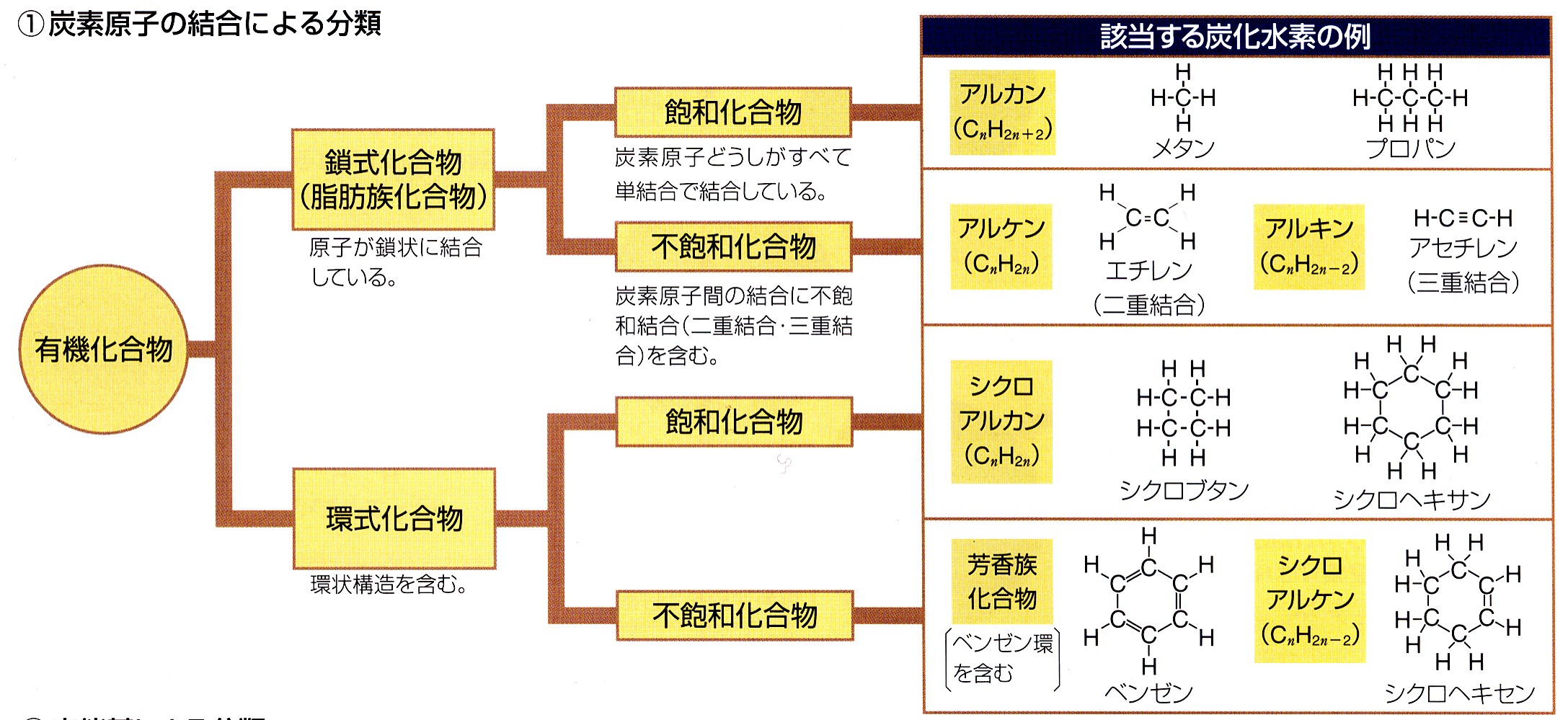 有機化合物(基礎Ⅰ) ホロス加藤 札幌 (カイロ&トリガーポイント)
