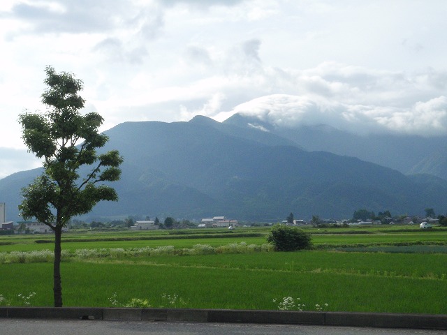 c0097754_16222658.jpg