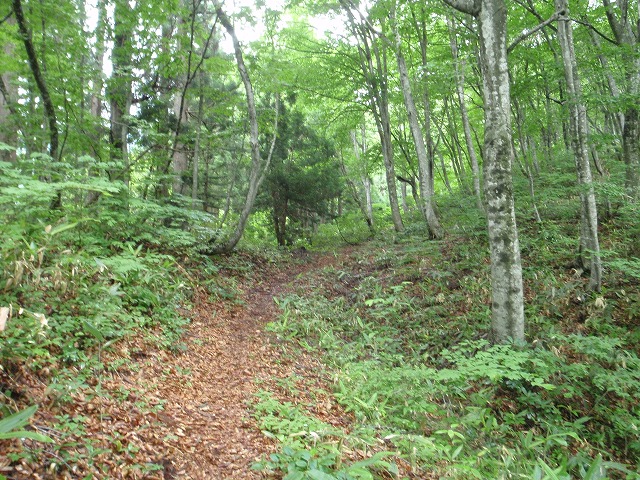 c0097754_16252766.jpg