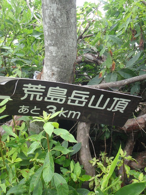 c0097754_16264122.jpg