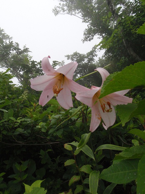 c0097754_16301685.jpg