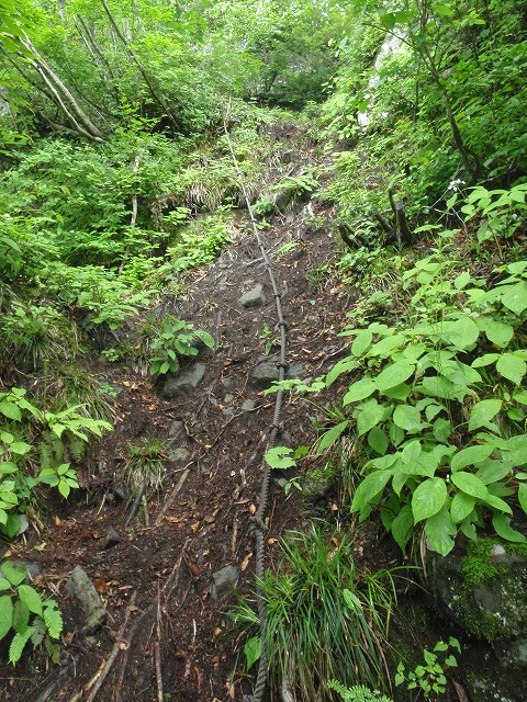 c0097754_16371622.jpg