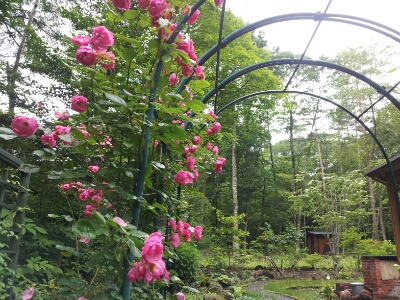 e0088260_16174244.jpg