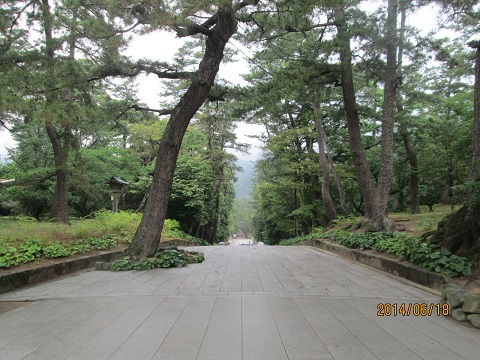 d0029363_10421134.jpg