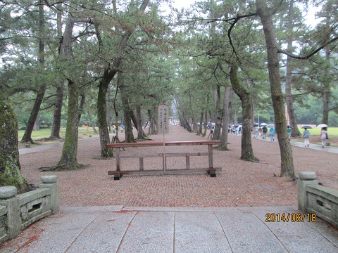 d0029363_10423660.jpg