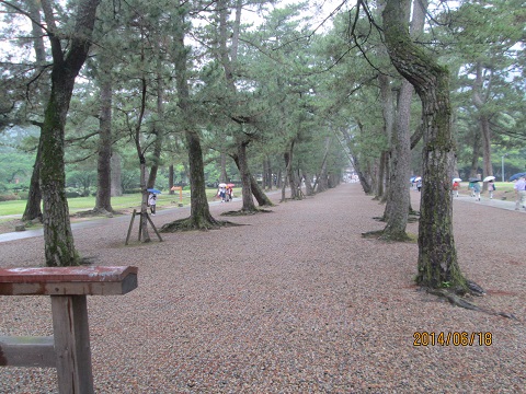 d0029363_10424539.jpg