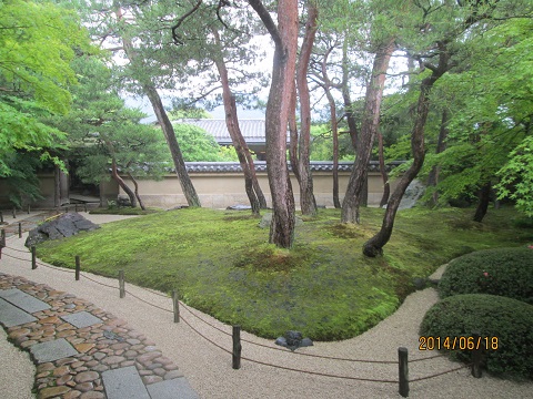 d0029363_14451876.jpg