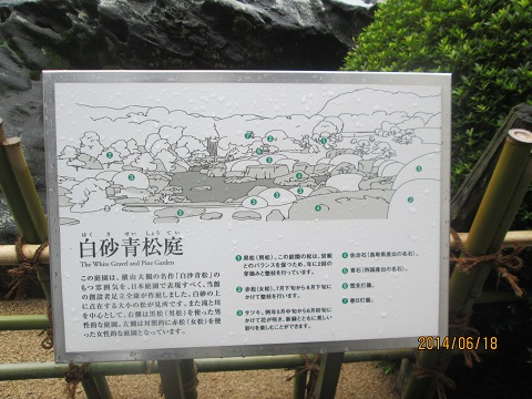 d0029363_1450136.jpg