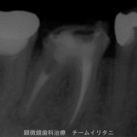 e0004468_9114668.jpg