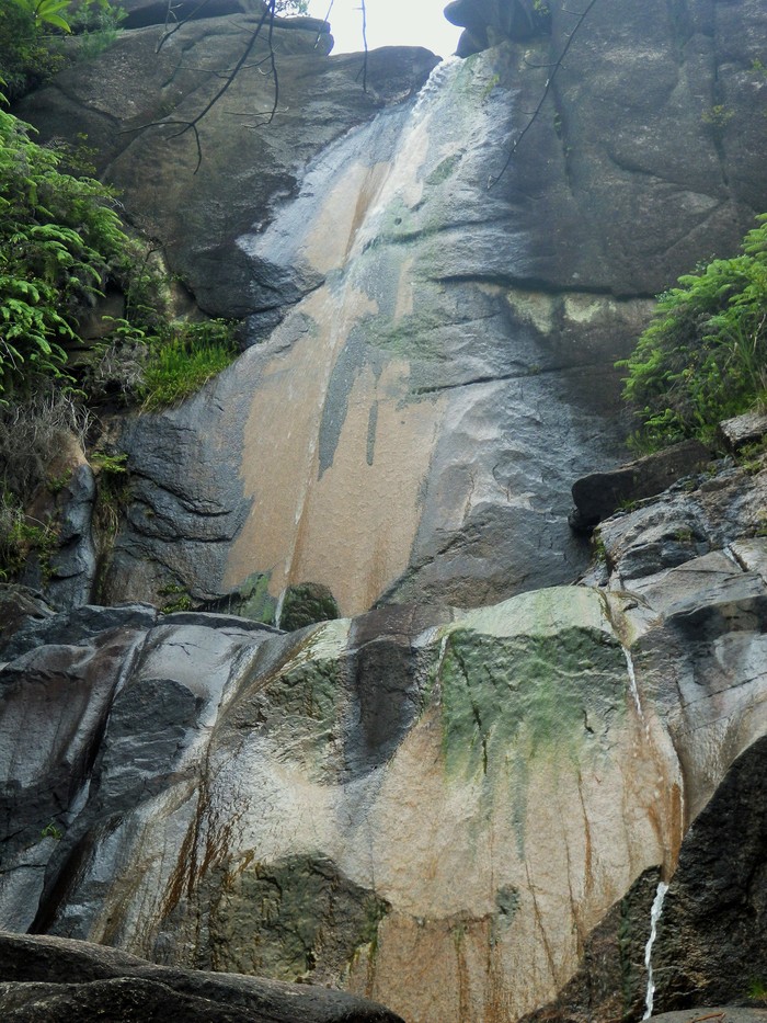 c0019376_20415613.jpg