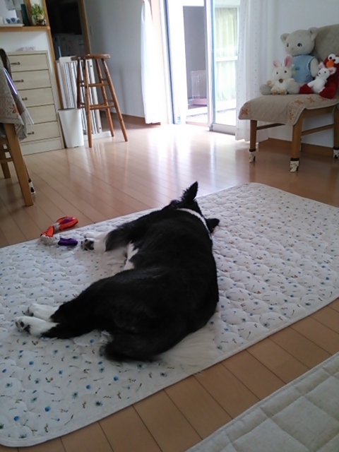 c0120585_2035939.jpg