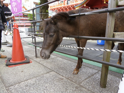 c0310987_15073827.jpg