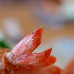 b0029488_10244853.jpg
