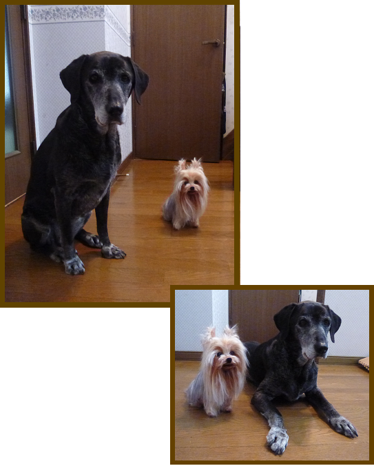 d0282395_2231674.png
