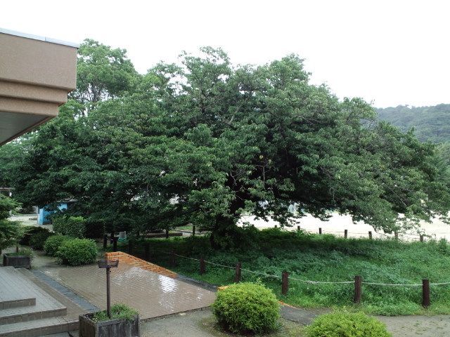 f0042295_15513138.jpg