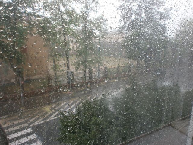 e0039206_042798.jpg