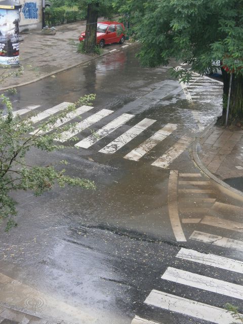 e0039206_044989.jpg