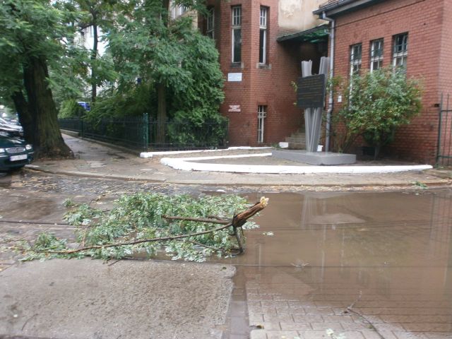 e0039206_08323.jpg