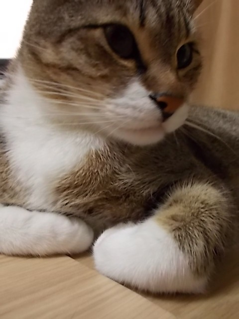 f0316507_17332704.jpg