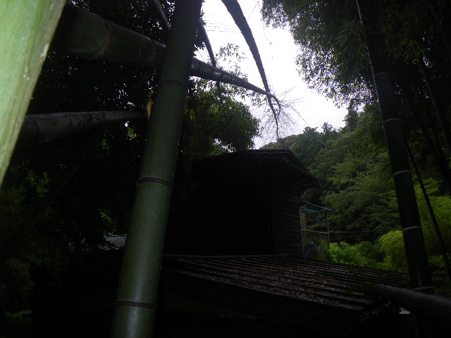 b0096418_22144656.jpg