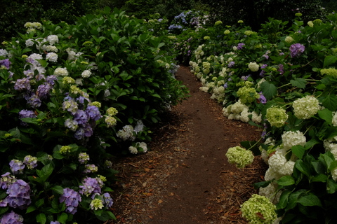 b0281732_7102469.jpg