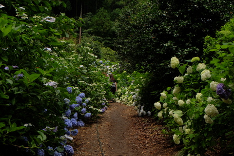 b0281732_7103740.jpg
