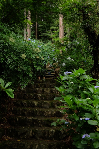 b0281732_781159.jpg