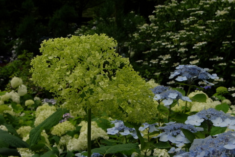b0281732_792070.jpg
