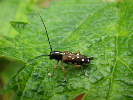 f0118332_2157455.jpg