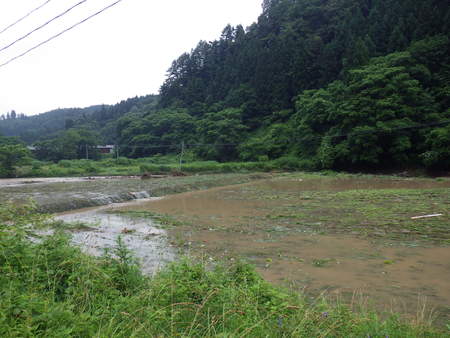 f0118332_2222177.jpg