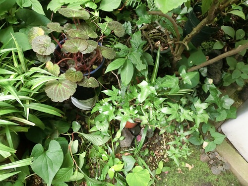 f0237037_126138.jpg