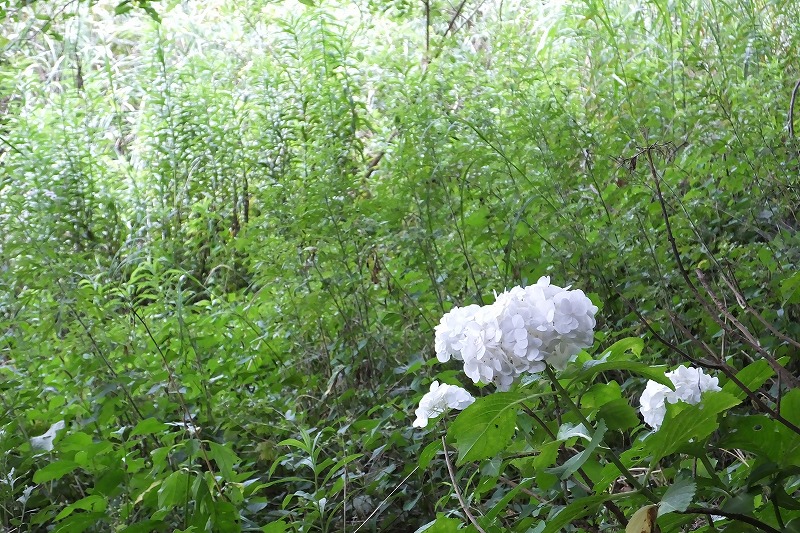 b0236251_16304046.jpg